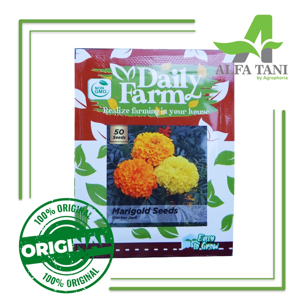 Benih Bunga Marigold 50 Seeds / Bunga Marigold Taman