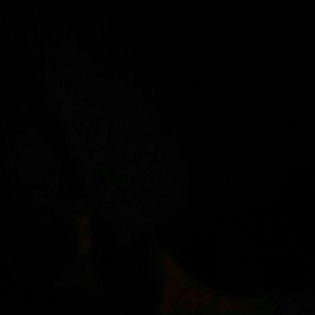 Botol Plastik 330ml Tutup Putih khusus Dalam Kota Surabaya