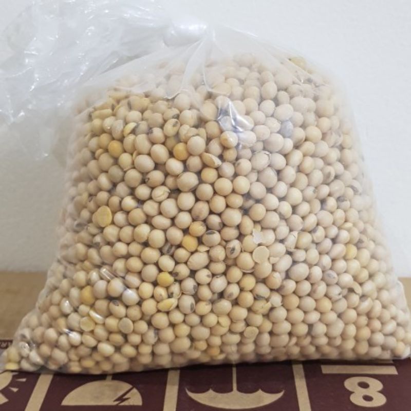 

Kedelai Tempe Kiloan