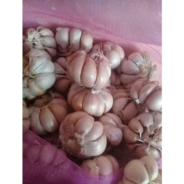 

bawang putih 1kg fres