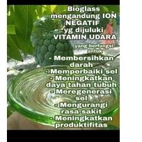 Bioglass Mci