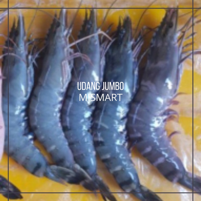 

UDANG JUMBO SEGAR PER KILO ( isi 15-20 ) - Grade B, 500gr - Grade B, 500gr
