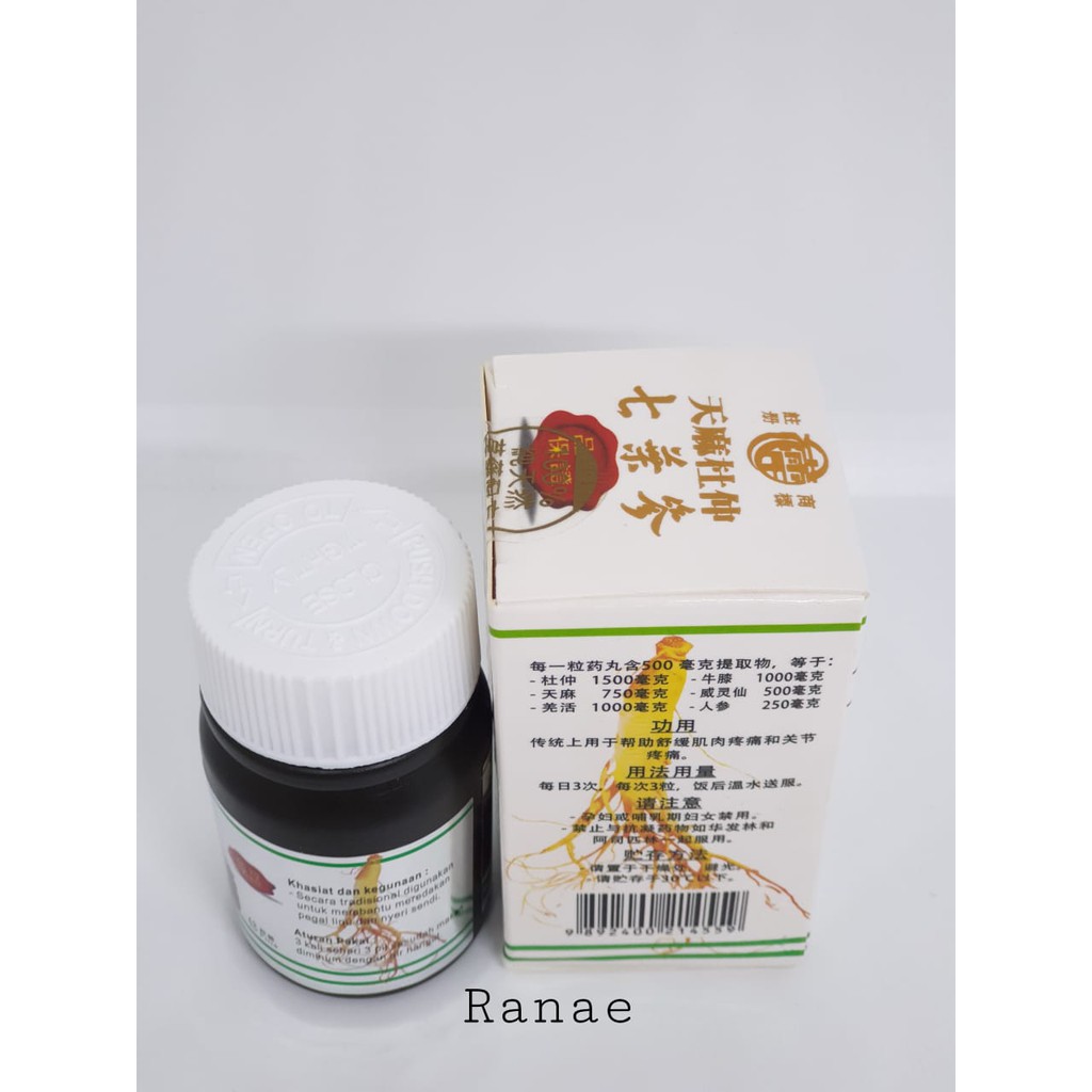 PT SINAR HERBA RADIX Tianmapil seven leave ginseng