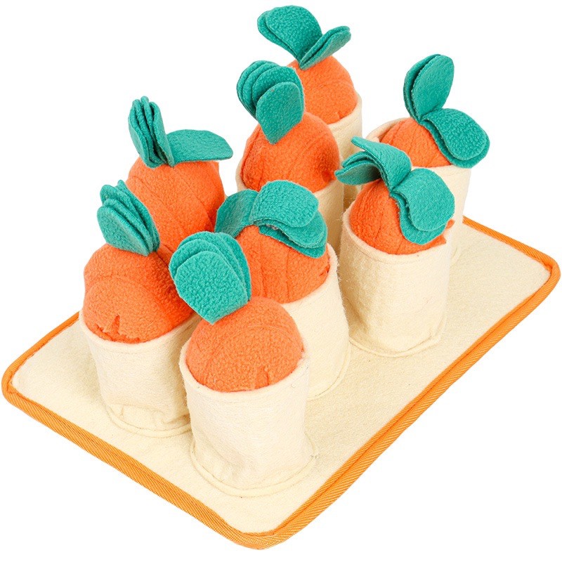 Carrot garden hide and seek treats