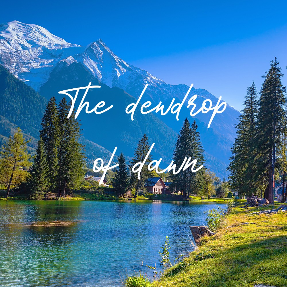 The Dewdrop of Dawn - REED DIFFUSER 100ml - pengharum kamar/ruangan sniff sniff-3