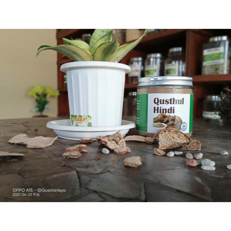 

serbuk qusthul hindi jar 250gr
