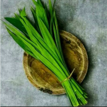 

Daun pandan 1 ikat ( 50 gram )