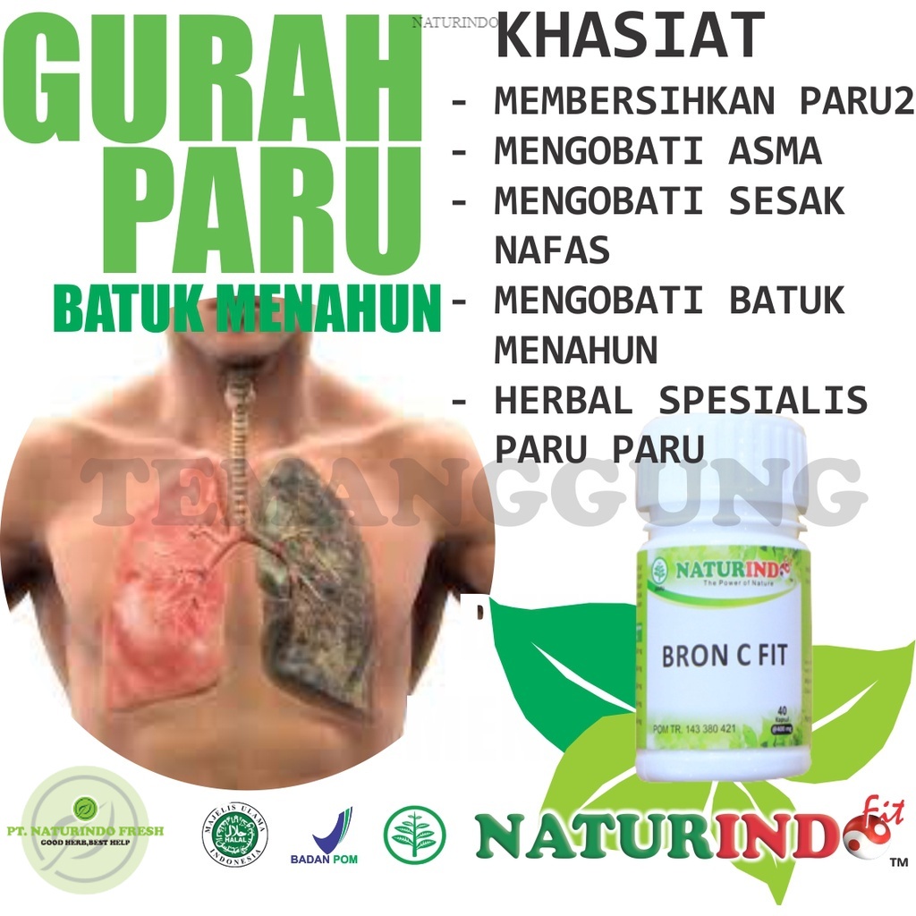 Jual Obat Gurah Paru Paru Dahak Lendir Sesak Nafas Asma Tbc Bronchitis Basah Batuk Berlendir 9947