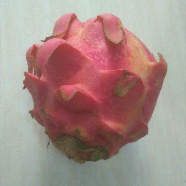 

buah naga segar ( 800 gr - 1000 gram/1kg )