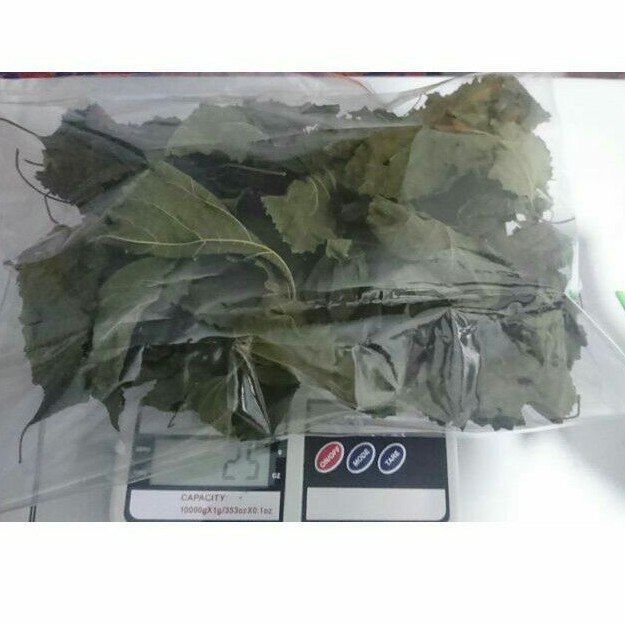 

DAUN MURBEI KERING 25 GR