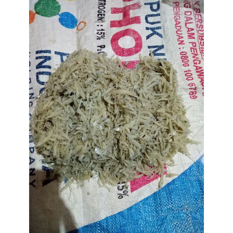 Jual Teri Nasi Medan Berat 500gram Shopee Indonesia