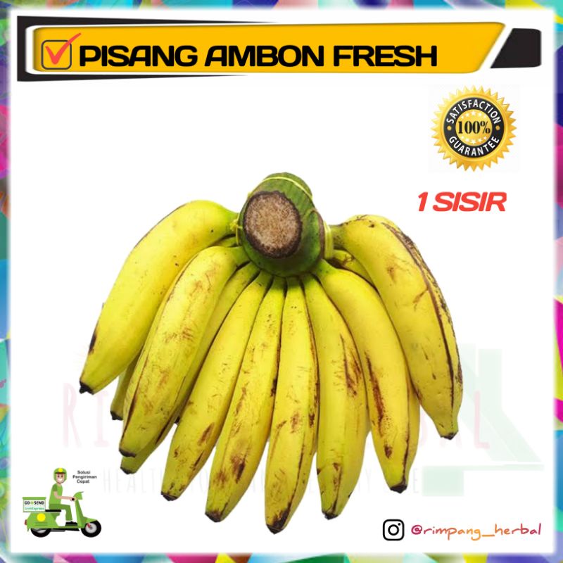 

Pisang | Pisang ambon | Buah segar | Bergaransi