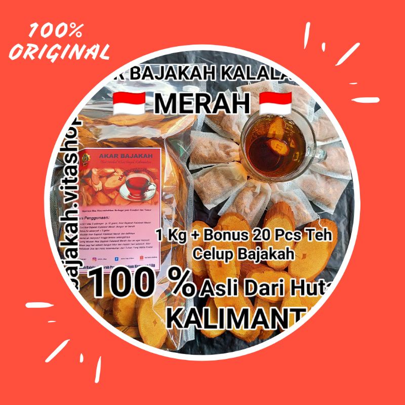 

Akar bajakah kalalawit merah asli kalimantan