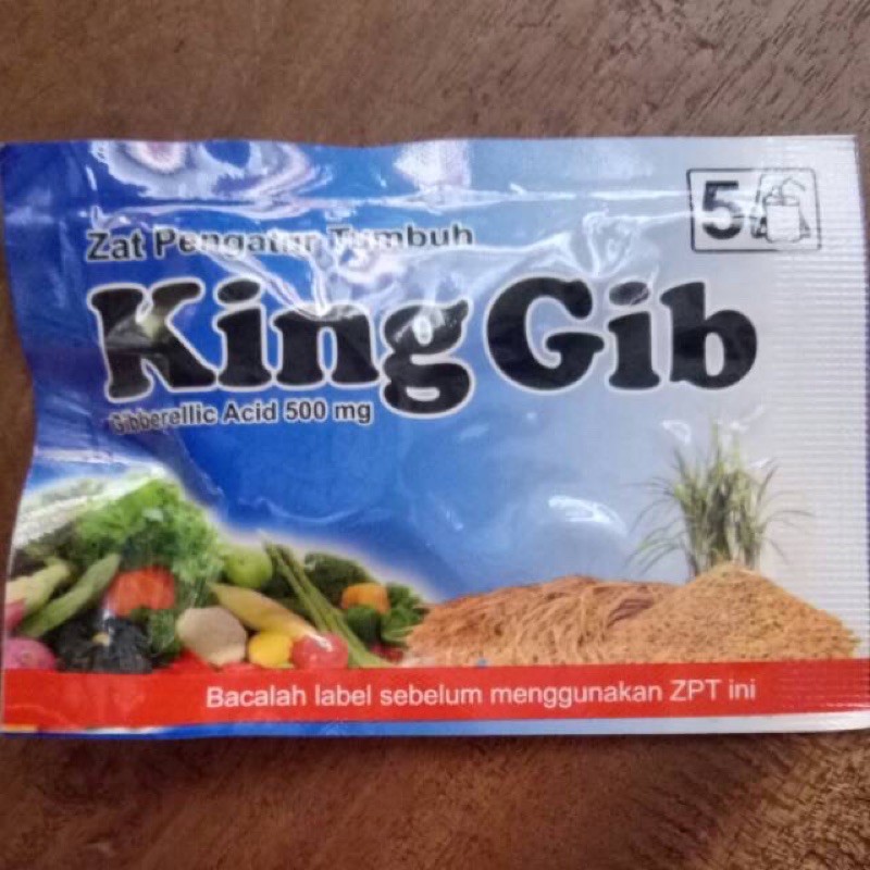 King gib zat pengatur tumbuh