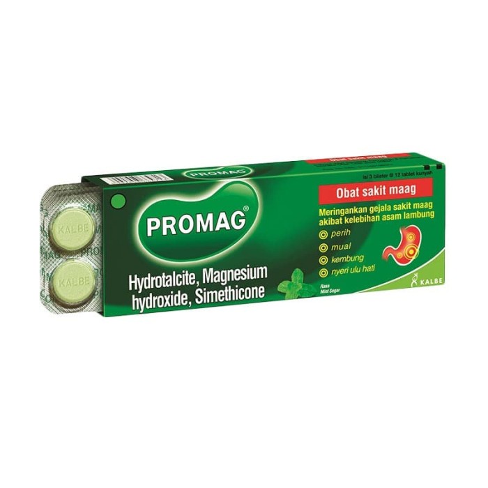 Promag Obat Maag Tablet [1 Box]