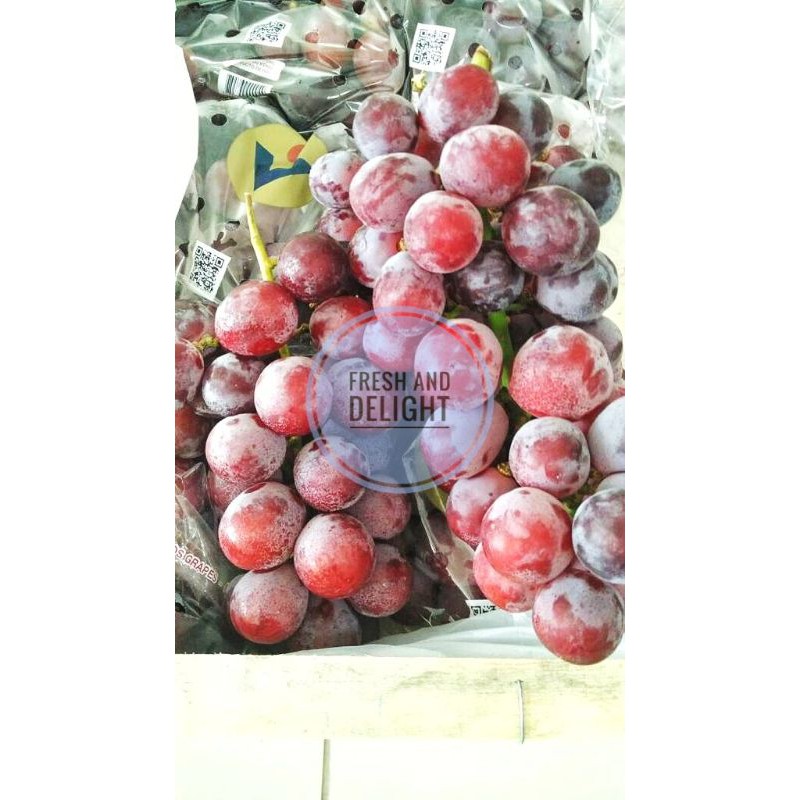 

Buah Anggur Red Globe Premium