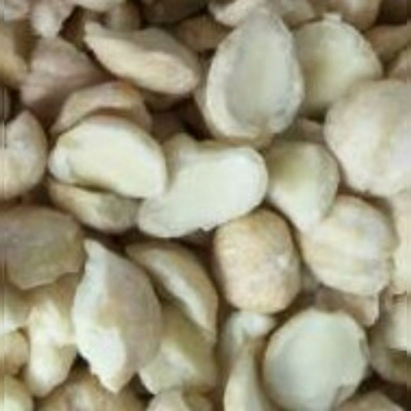 

Kemiri Pecah Muncang Kualitas Super Putih Medan Asli