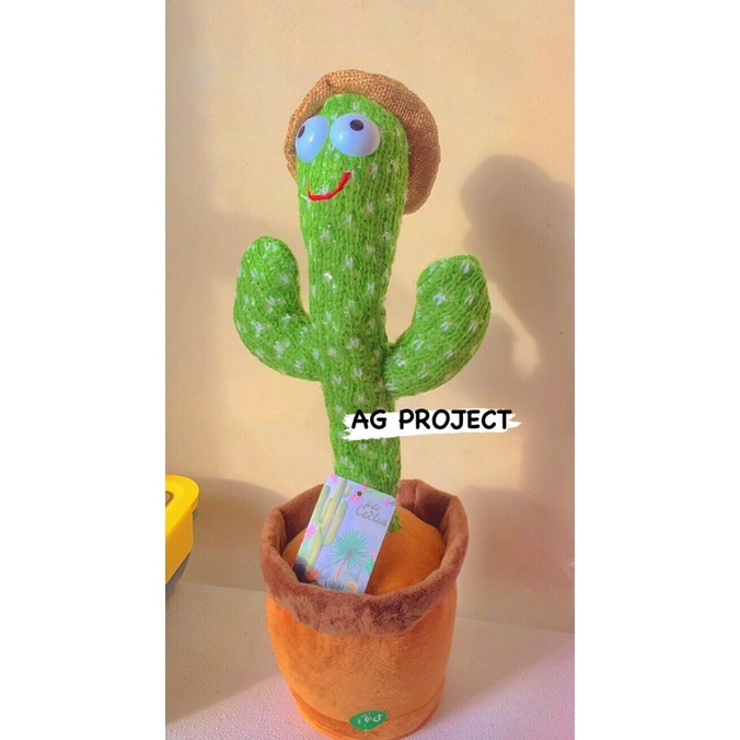 

\"\"\"\] Dancing Cactus - Talk+Songs+Dancing+Light