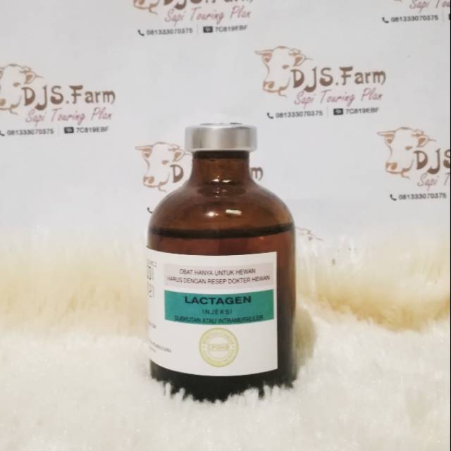 LACTAGEN 50 ml obat pelancar air susu hewan dan ternak sapi kambing kerbau kuda domba djs farm