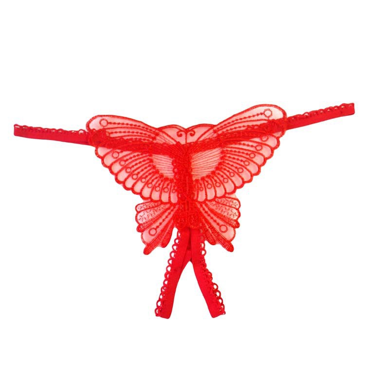 G String Seksi Wanita Transparan kupu-kupu Bordir Celana Dalam Open Low Waist Thong 3C176