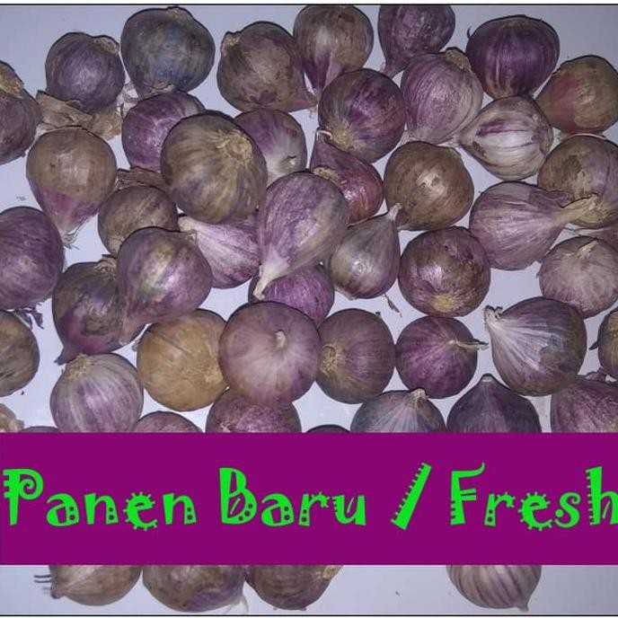 

Ready Stock] Bawang Putih Tunggal Lanang 1 Kg - Kecil