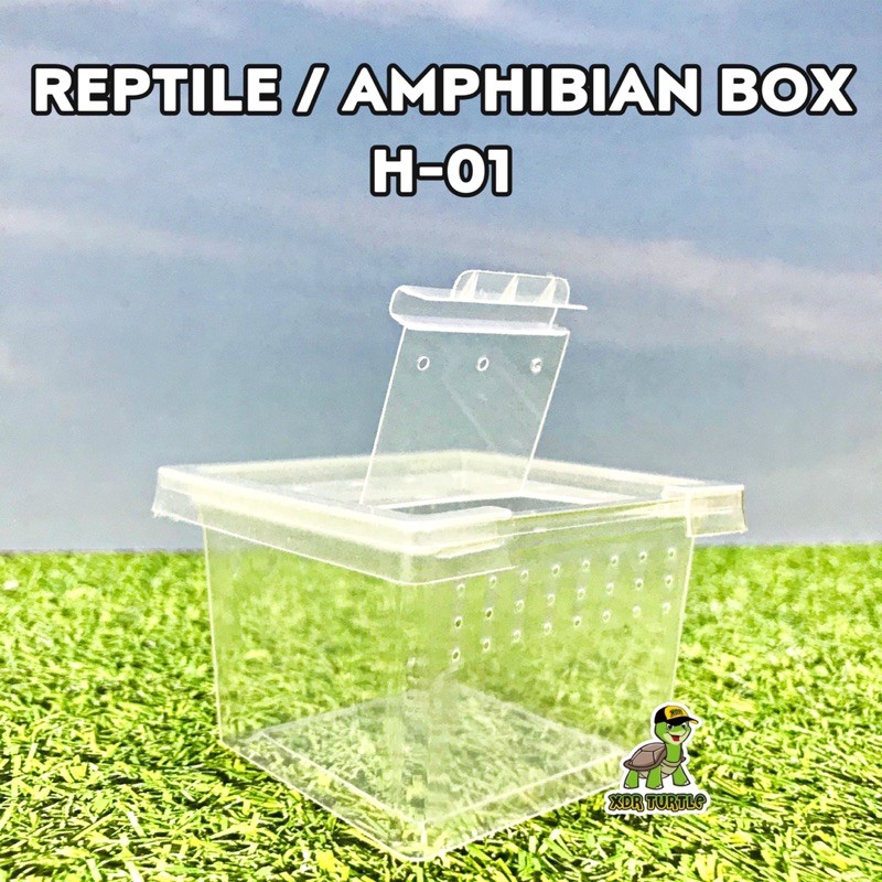 REPTILE BOX H-01 NOMOYPET KOTAK REPTIL AMPHIBI SERANGGA PACMAN DART ISOPOD FROG KODOK XDR TURTLE