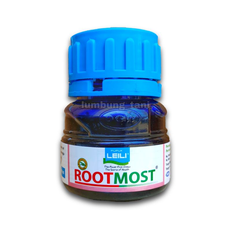 pupuk rootmost DGW - pupuk perangsang akar