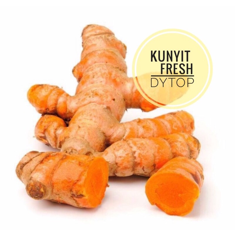 

Kunyit Segar Fresh DYTOP - 500 Gram