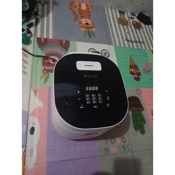 rice cooker Gaboor