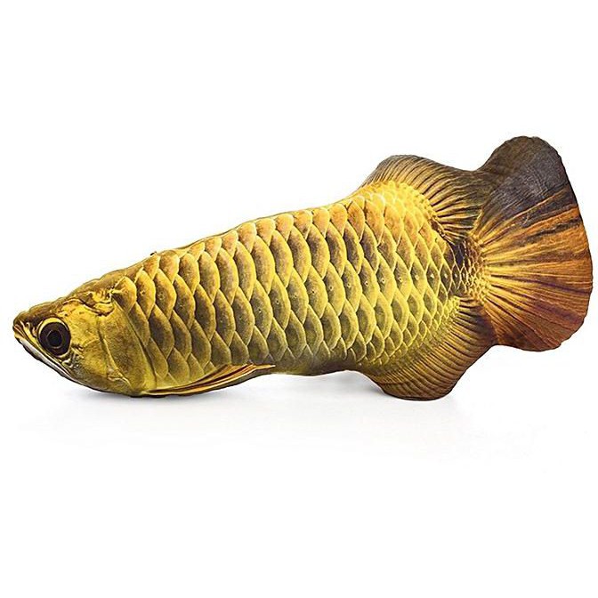 Mainan Kucing Catnip Model Ikan Arwana Gold & Merah 20cm & 30CM