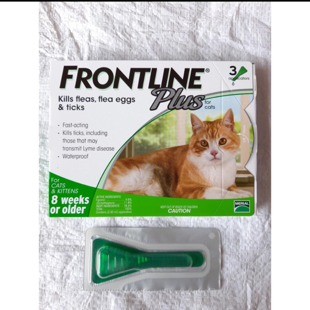 Obat kutu kucing Frontline Cat plus