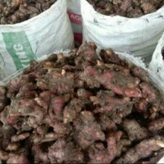 

jahe merah asli
