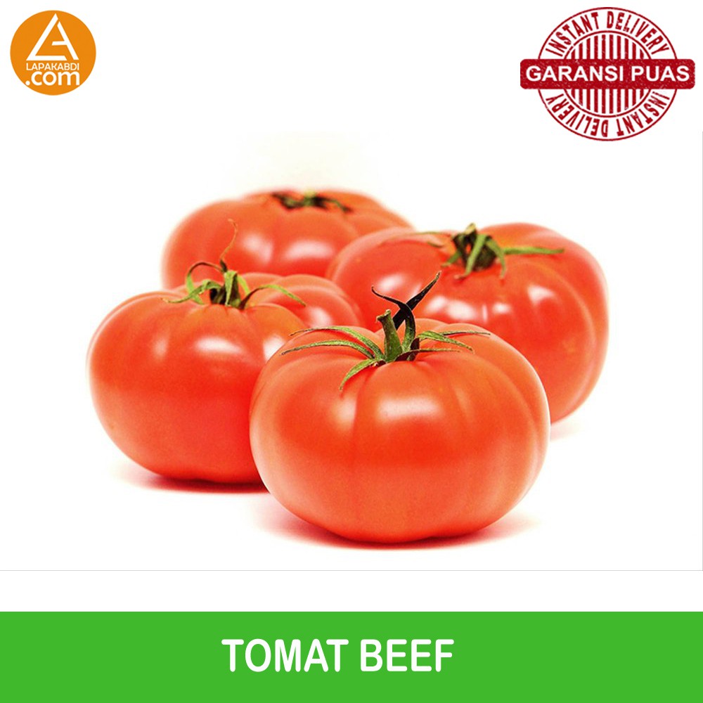 

Tomat Merah Kecil 500gr Sayur Segar Garansi Termurah