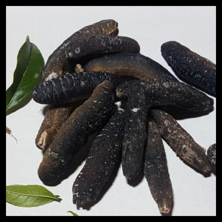 

DISKON TERBATAS !!! TERIPANG GOSOK KERING 125 GRAM ISI 17-27 EKOR TERLARIS