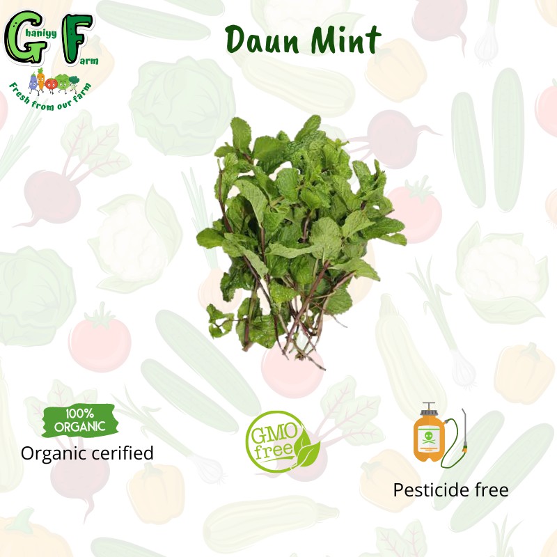 

Sayur Organik - Daun Mint Organik