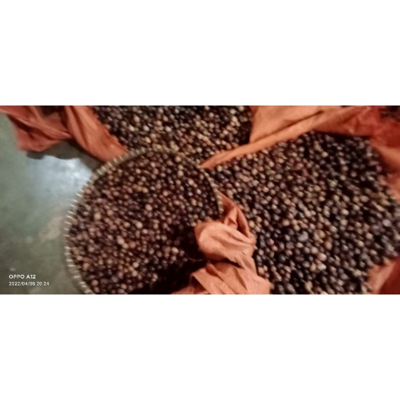 

pala cangkang 55000 / kg