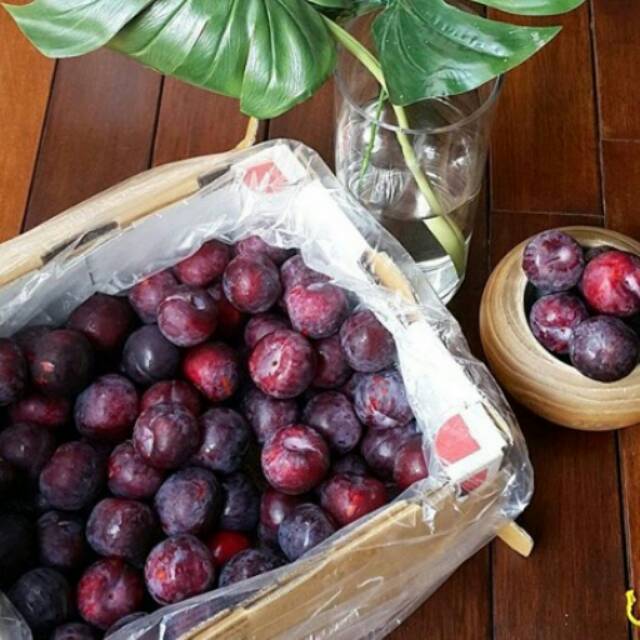 

Plum merah USA