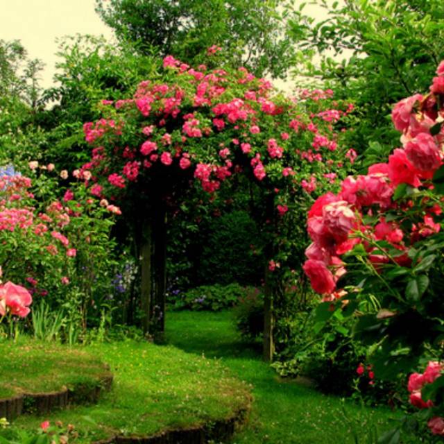 jdid_kkdbvnlp6a