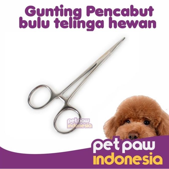 Gunting Pembersih / Pencabut Bulu Telinga Anjing Kucing Hewan Lurus