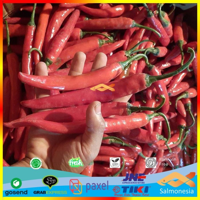 

Sayuran Cabai Segar Merah Besar Fresh Pilihan 250 gram