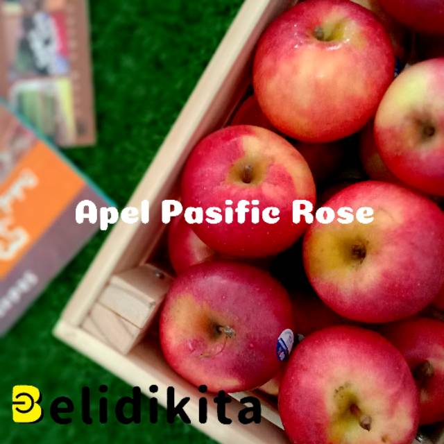 

Apel Pasific Rose | Apel Merah Manis Kriuk