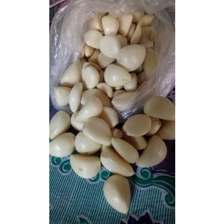 

bawang putih kating super