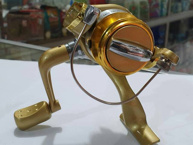 Golden fish willy TW 153