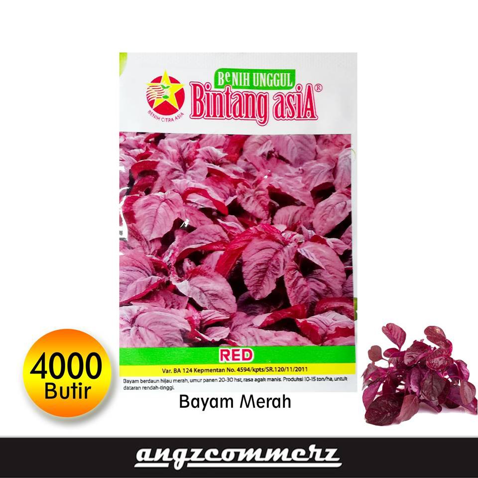 Jual Bintang Asia Benih Bayam Merah Red Small 4000 Seeds Shopee