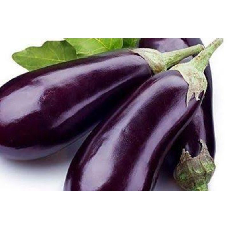 

Terong Ungu (1kg)