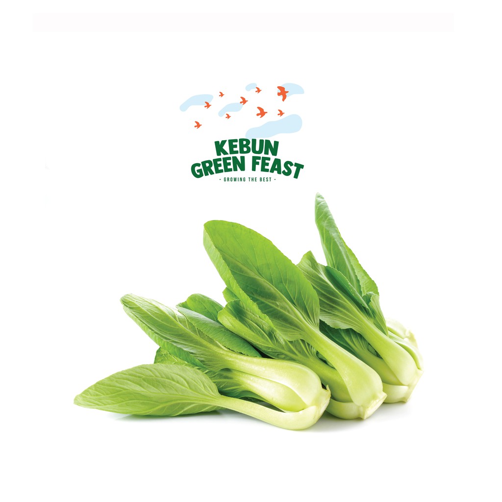 

Pak Choi Hydroponic - Sayuran sayur sawi Pakchoy