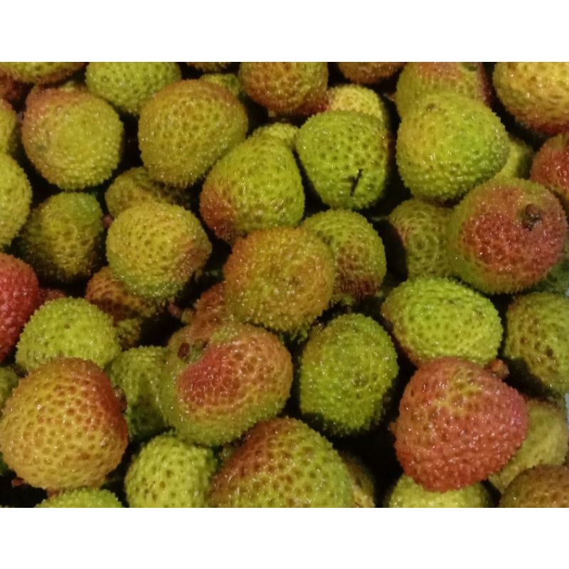 

BUAH LYCHEE MADU / LECI MADU HIJAU MANIS JUICY