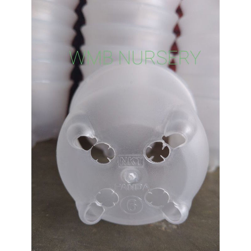 Pot NKT Panda 6 bening/transparan