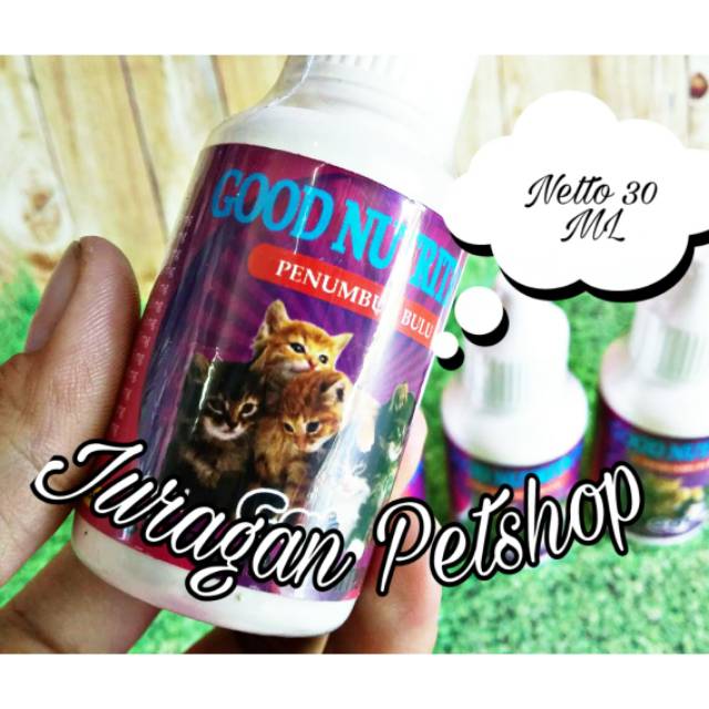 vitamin untuk bulu kucing