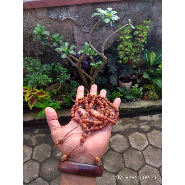 Tasbih biji bidara arab 99 butir original 1000%